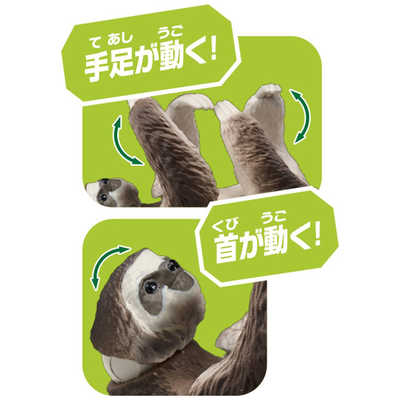 タカラトミー アニア AS-26 ナマケモノ（ノドチャミユビナマケモノ