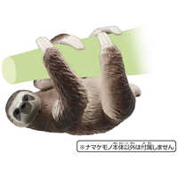 タカラトミー アニア AS-26 ナマケモノ（ノドチャミユビナマケモノ 