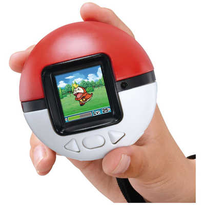 たまごっち! ポケモン 極上めちゃモテ委員長 怪談レストラン 他DVDセット たまごっち! ポケモン 極上めちゃモテ委員長 怪談レストラン 他DVDセット