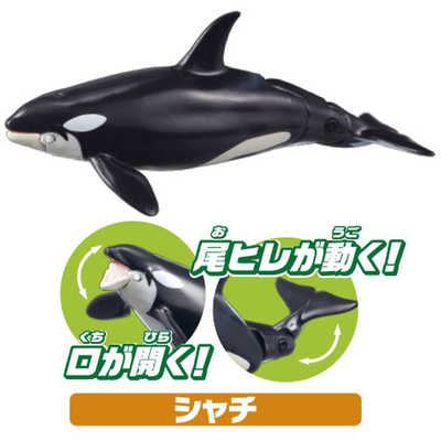 タカラトミー アニア AA-02 水族館の人気者ギフトセット の通販
