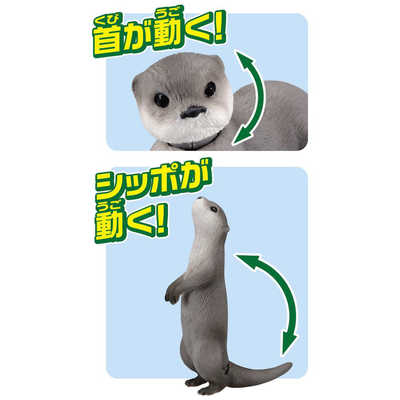 アニア 専用品　6品 ➕カワウソサービス タカラトミー アニア AS-15 ユｰラシアカワウソ(水に浮くVer.) の通販