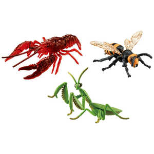 タカラトミー アニア 大自然の最強いきものセット タカラトミー アニア 大自然の最強いきものセット