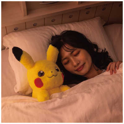 ポケットモンスター おうちにポケモン 気安い PIKACHU 937562