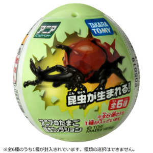 タカラトミー アニアのたまご 昆虫コレクション(単品) タカラトミー アニアのたまご 昆虫コレクション(単品)