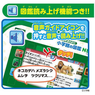 タカラトミー アニアとあそぼう！小学館の図鑑NEOPad の通販