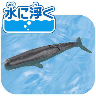 タカラトミー アニア AL-34 マッコウクジラ(水に浮くVer.) の通販