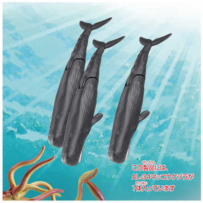 タカラトミー アニア AL-34 マッコウクジラ(水に浮くVer.) の通販
