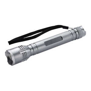 遠藤商事 アニサキス検知用ハンディライト AW01-HL BAN01