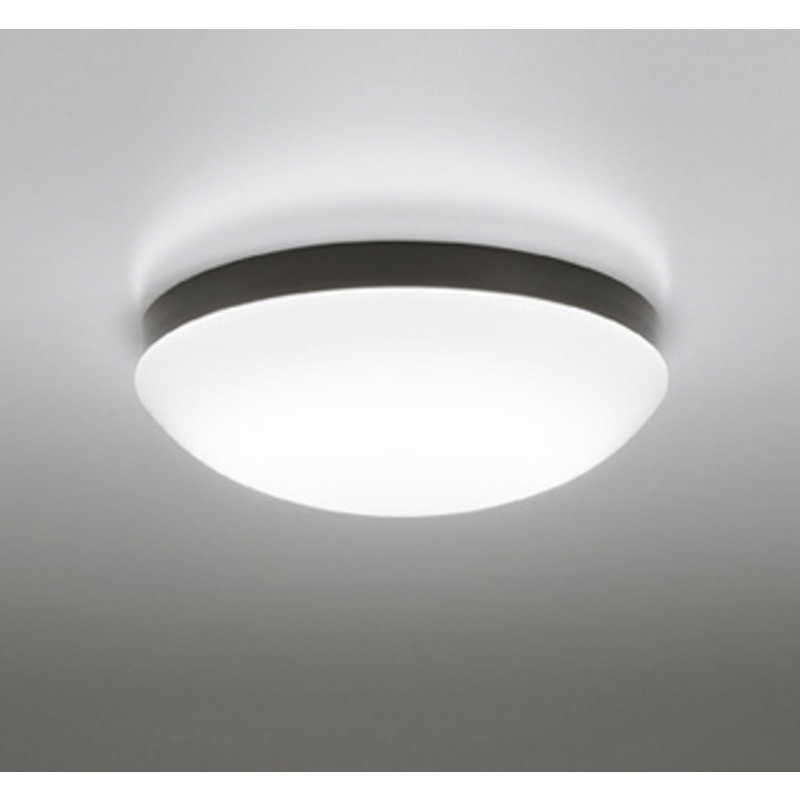 限定版 OW269041ND 在庫品 オーデリック LED 防湿 防雨型 壁面 天井面 傾斜面 取付兼用 エクステリア 浴室 洗面室 に使用可 昼白色 