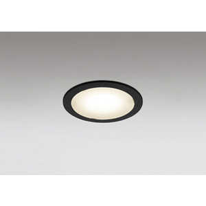 �I�[�f���b�N �_�E�����C�g ���v�d�C�H�� OD301090