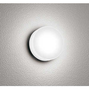 オーデリック 浴室照明 黒色 [昼白色 /LED /防雨･防湿型 /要電気工事] OG254821