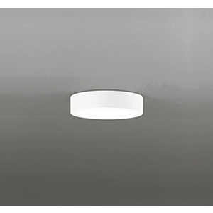 オーデリック 高演色LED小型シーリングライト FLAT PLATE 白熱灯器具60W相当 昼白色 電気工事必要 OL251359R オーデリック 高演色LED小型シーリングライト FLAT PLATE 白熱灯器具60W相当 昼白色 電気工事必要 OL251359R