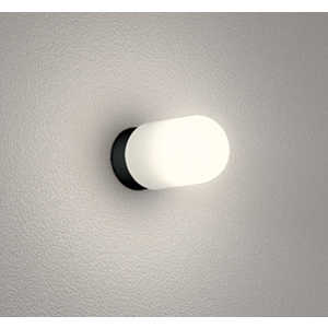 オーデリック 浴室灯 ［電球色 /LED /防雨・防湿型］ SH9106LD