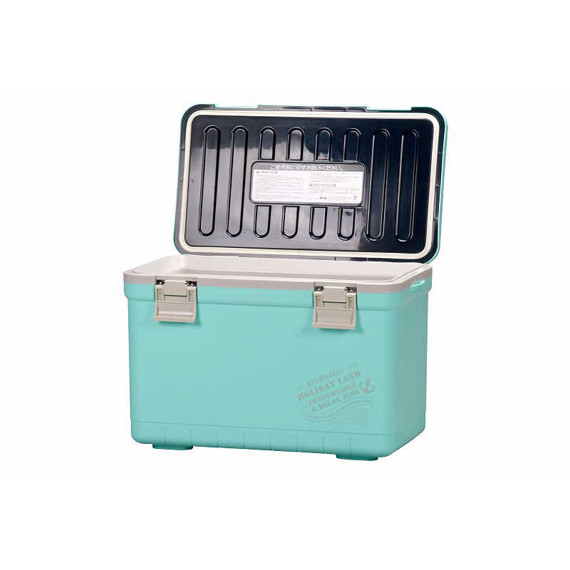 伸和 伸和 アウトドア用品 保冷 ホリデーランドクーラー22H (容量：約22L) ライトブルー 06461 06461
