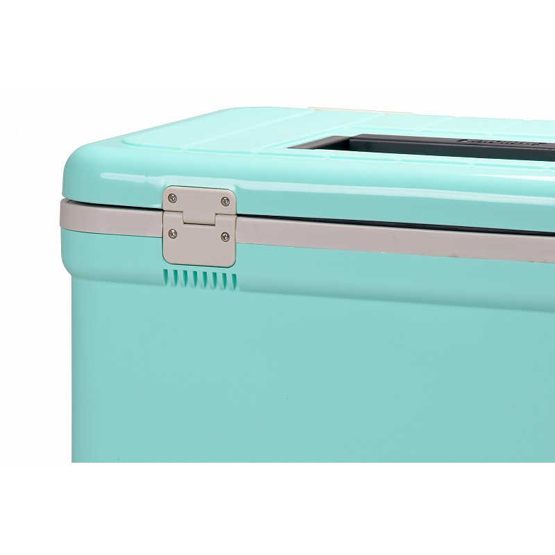 伸和 伸和 アウトドア用品 保冷 ホリデーランドクーラー22H (容量：約22L) ライトブルー 06461 06461