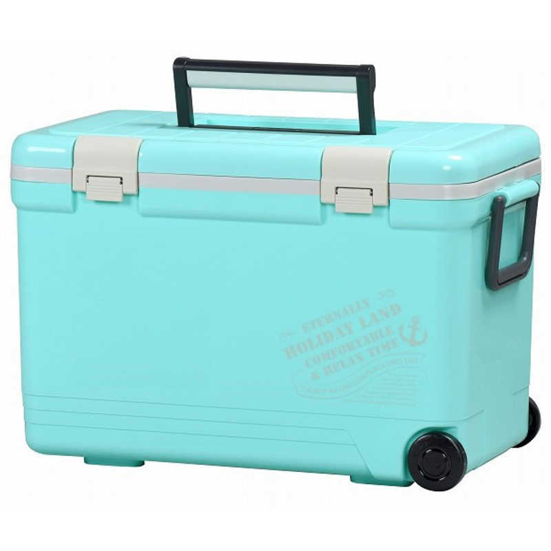 伸和 伸和 アウトドア用品 保冷 ホリデーランドクーラー27H (容量：約27L) ライトブルー 06462 06462