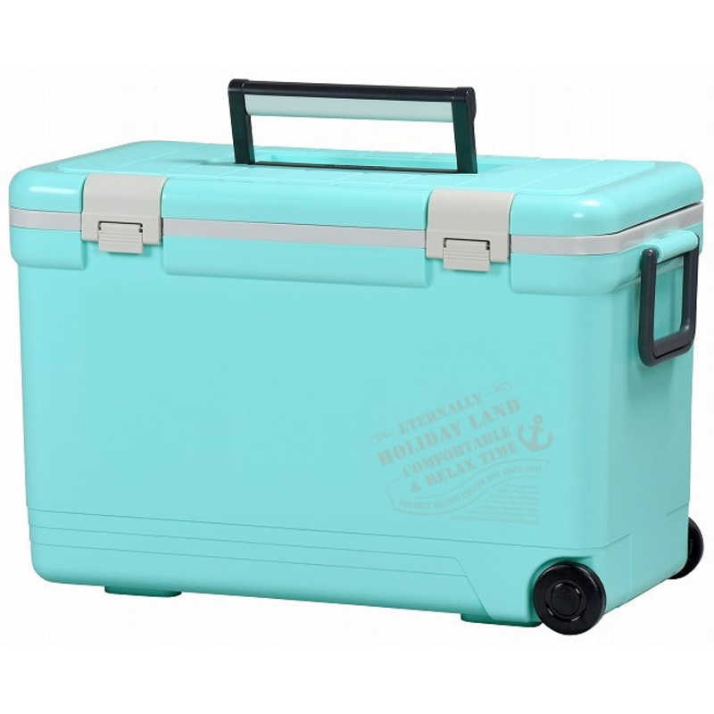 伸和 伸和 アウトドア用品 保冷 ホリデーランドクーラー33H (容量：約33L) ライトブルー 06463 06463