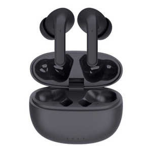 セイワ BluetoothステレオANCイヤホン ブラック [ マイク 対応 / ワイヤレス ( 左右分離 ) / ワイヤレス ] BTW100