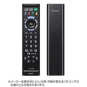 ソニー　SONY リモートコマンダー RM-PZ110D (B)