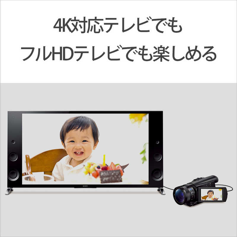 ソニー　SONY ソニー　SONY デジタルビデオカメラ FDR-AX100 FDR-AX100