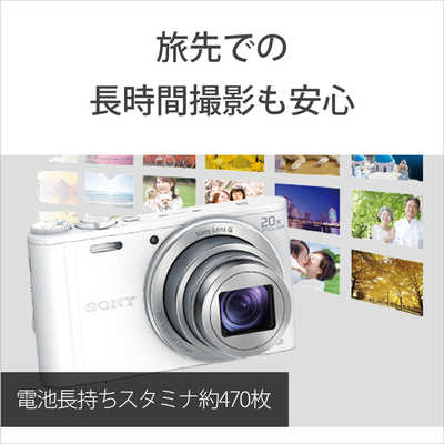 ソニー SONY デジタルカメラ サイバーショット DSC-WX350 の通販