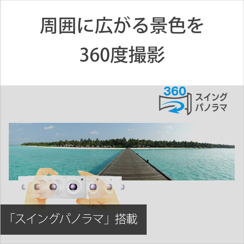 ソニー　SONY ソニー　SONY デジタルカメラ サイバーショット DSCW830 DSCW830