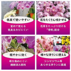東商 洋ランの肥料 500g 2100957