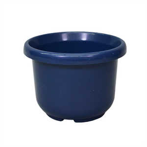 AbvEFA[ ֔F^ 6 u[ n`FK^6SE