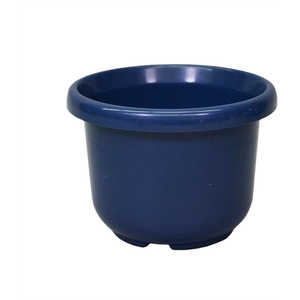 åץ륦 ȭF 8 ֥롼 ϥF8