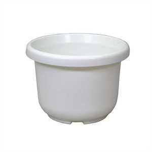 アップルウェアー 輪鉢F型 10号 ホワイト ﾜﾊﾁFｶﾞﾀ10ｺﾞｳ