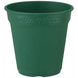 AbvEFA[ [A|bg 450^ O[ [A|bg450K^