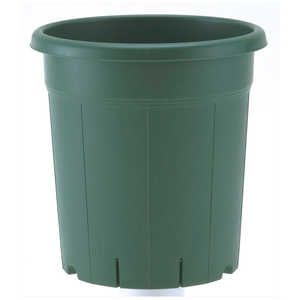 AbvEFA[ o 10 O[ on`10SE