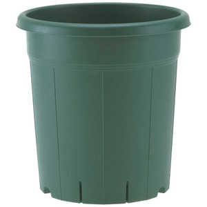 AbvEFA[ o 12 O[ on`12SE