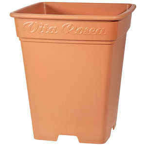 アップルウェアー ロゼアスクエア 260型 ブラウン ﾛｾﾞｱｽｸｴｱ260ｶﾞﾀ