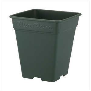 AbvEFA[ [AXNGA 330^ O[ [AXNGA330K^