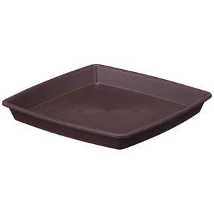 AbvEFA[ NtgXNGAv[g 30^ _[NuE NtgXNGAv[g30K^