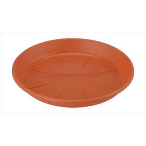 åץ륦 AP 7 ƥ饳å AP7