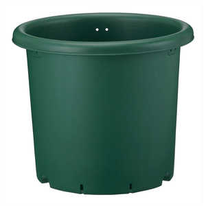 AbvEFA[ ؔ 33^ O[ TCn`33K^