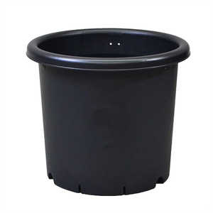 アップルウェアー 菊鉢 7号 ブラック ｷｸﾊﾁ7ｺﾞｳ