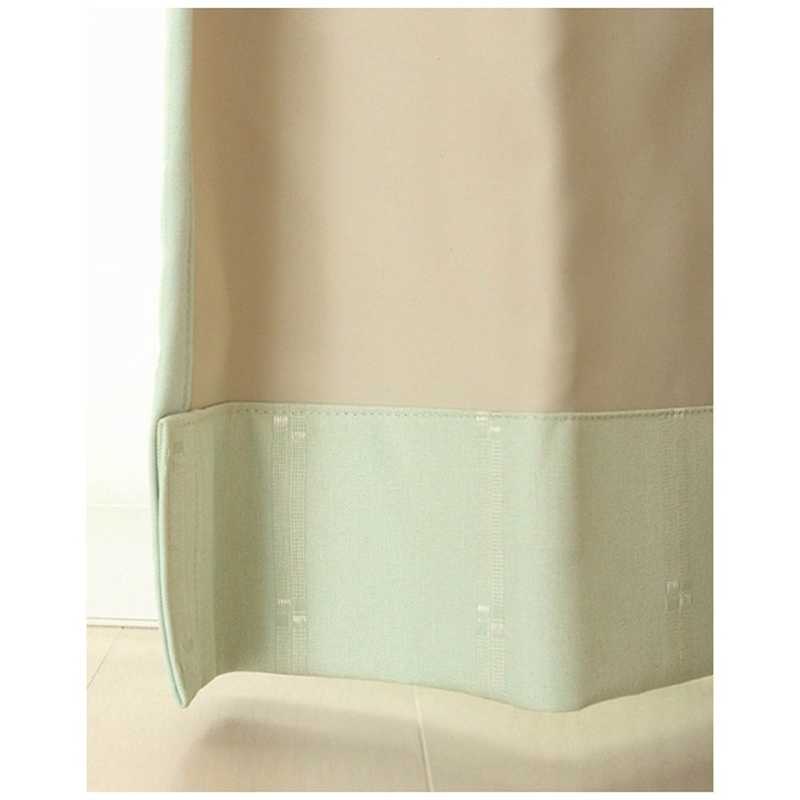 東京シンコール 東京シンコール 2枚組 ドレープカーテン ジェシー(100×135cm/ライトグリーン)  