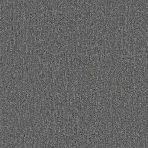 �V���R�[�� �^�C���J�[�y�b�g