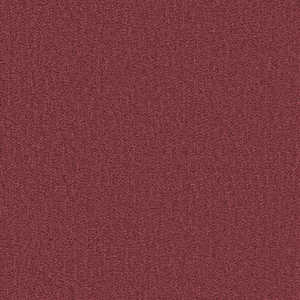 �V���R�[�� �^�C���J�[�y�b�g