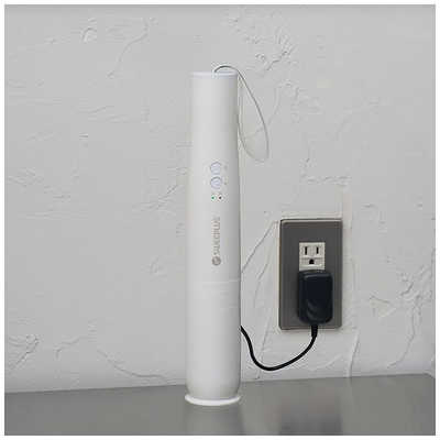 CCP コードレスパワフルハンディクリーナー (紙パックレス式