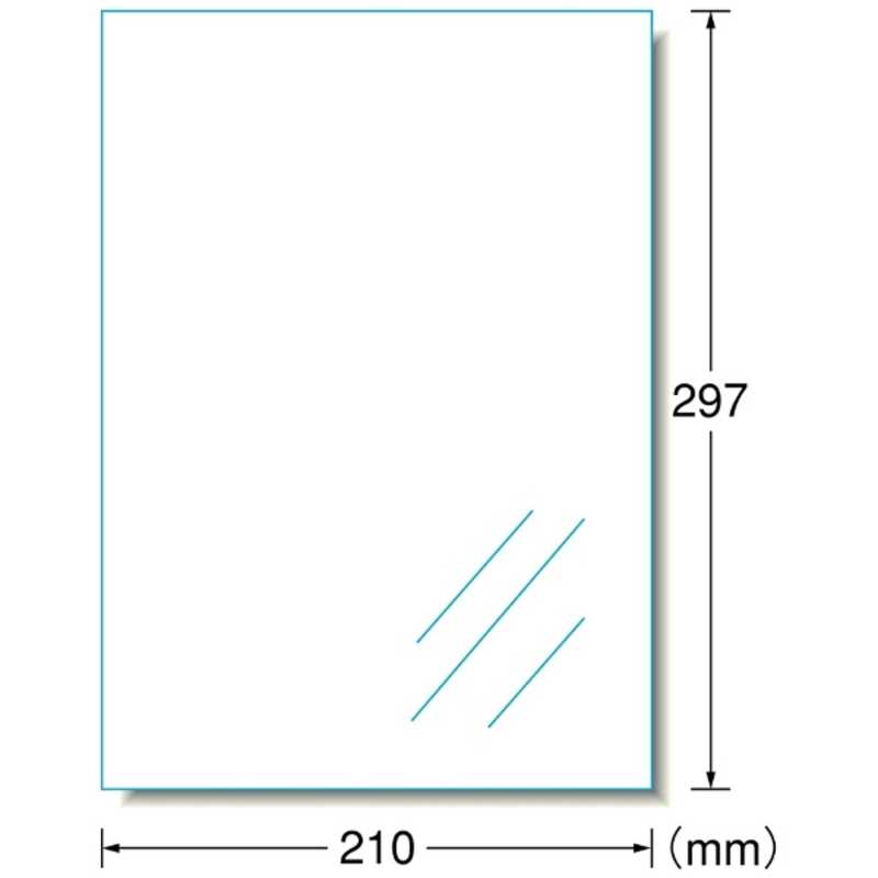 エーワン エーワン PPCラベル 透明ツヤ消しフィルム(A4･100シート) 27003 27003