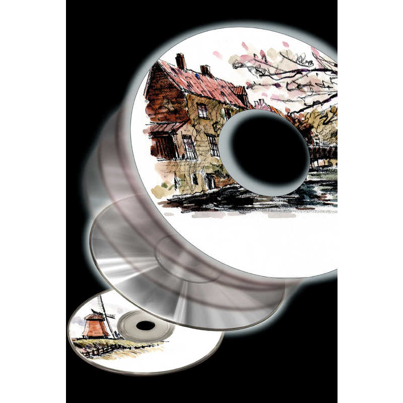 エーワン エーワン CD/DVDラベルシール(インクジェット)強粘着タイプ(A4判変型･2面×10シート) 29121 29121