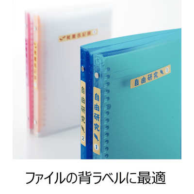 エーワン はがきサイズのプリンタラベル タイトル用 (はがきサイズ・9