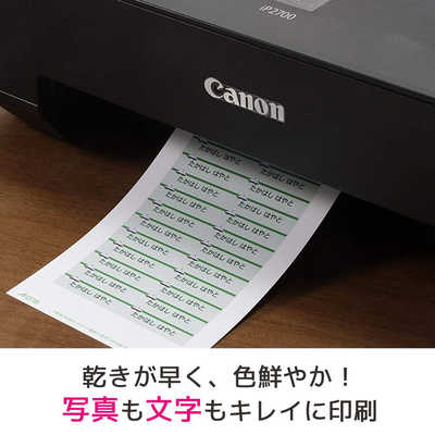 エーワン はがきサイズのプリンタラベル 洗えるお名前シール(22面・4