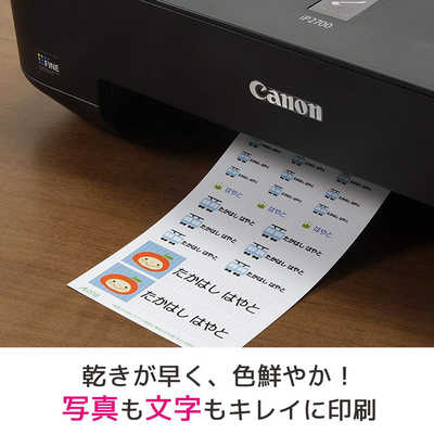 エーワン はがきサイズのプリンタラベル洗えるお名前シール(多面付・4