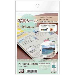 エーワン 写真シール(フォト光沢紙)白無地 (ハガキサイズ・5シート・50片) 29622 エーワン 写真シール(フォト光沢紙)白無地 (ハガキサイズ・5シート・50片) 29622