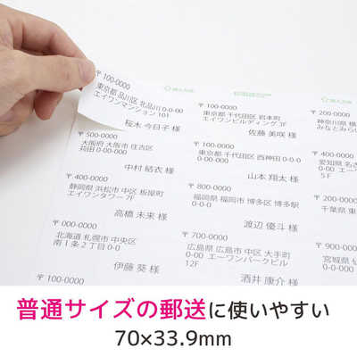 エーワン ラベルシール｢プリンタ兼用｣ (A4サイズ:24面・100